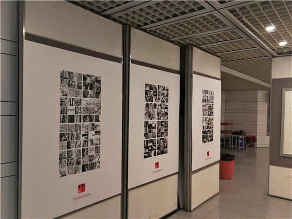 环境设计系视觉设计基础学生作品展6 环境设计系视觉设计基础学生作品展6